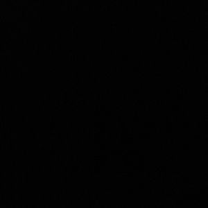 Meet your Posher, Ella